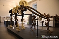 VBS_1046 - Riapre il Museo di Scienze Naturali dopo dieci anni di chiusura